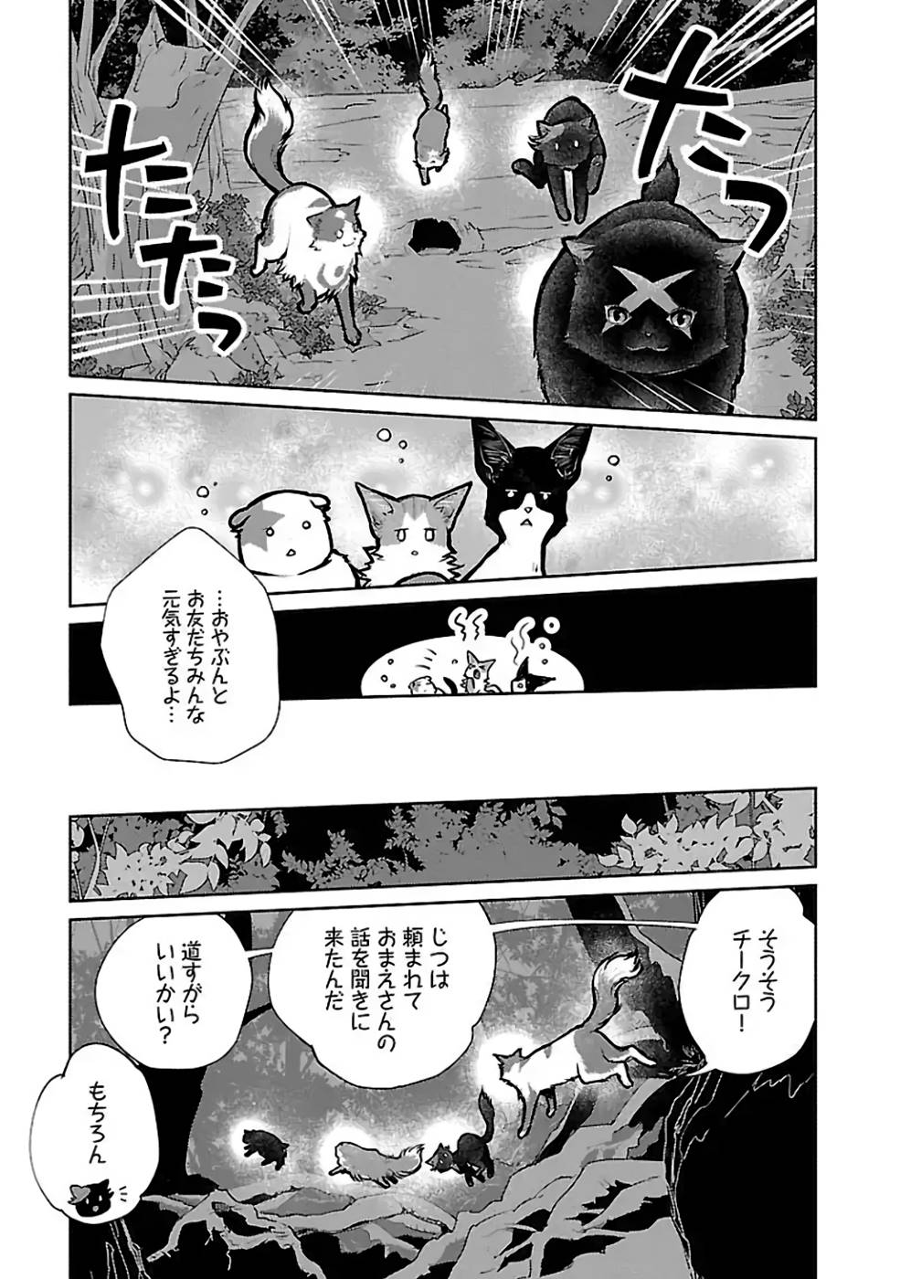 猫と竜 第23話 - Page 13