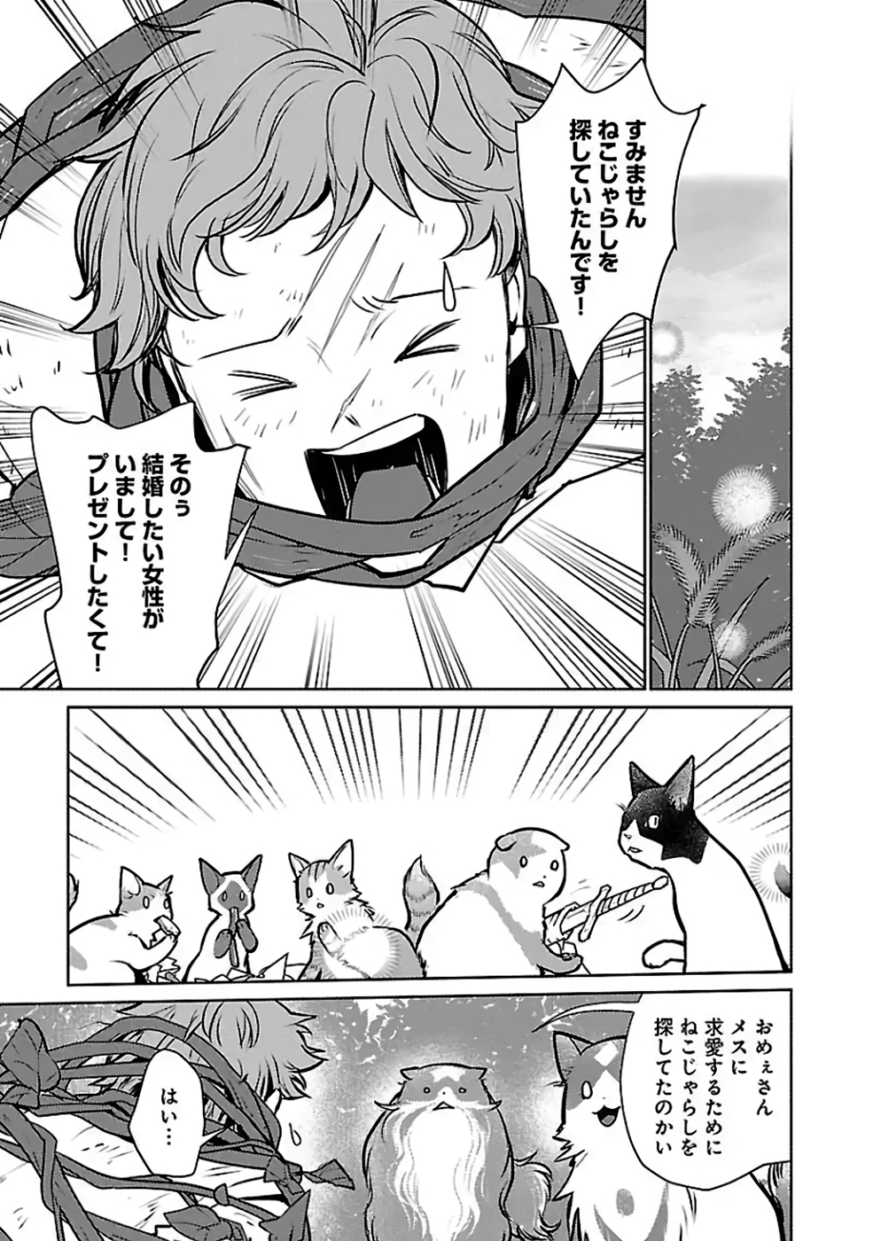 猫と竜 第36話 - Page 13