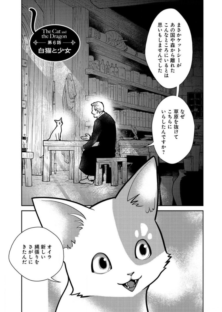 猫と竜 第6話 - Page 1