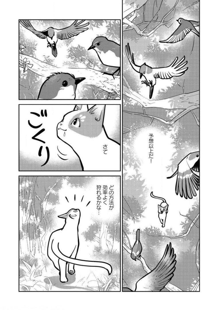 猫と竜 第6話 - Page 8