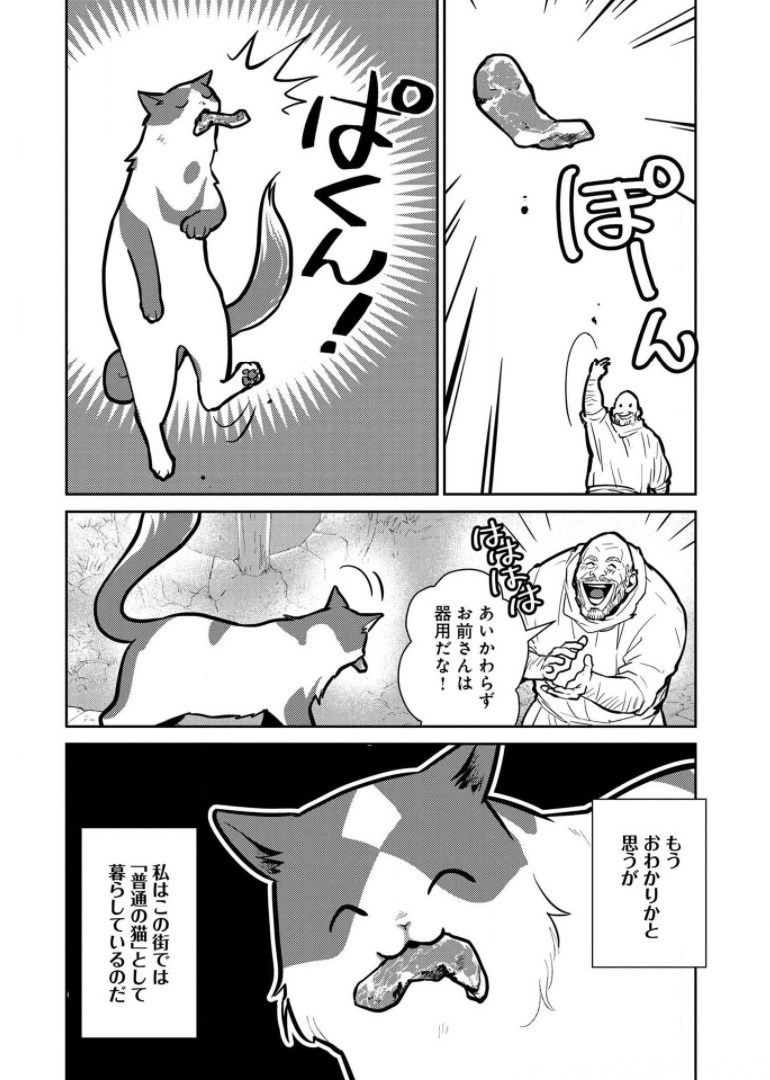 猫と竜 第8話 - Page 7