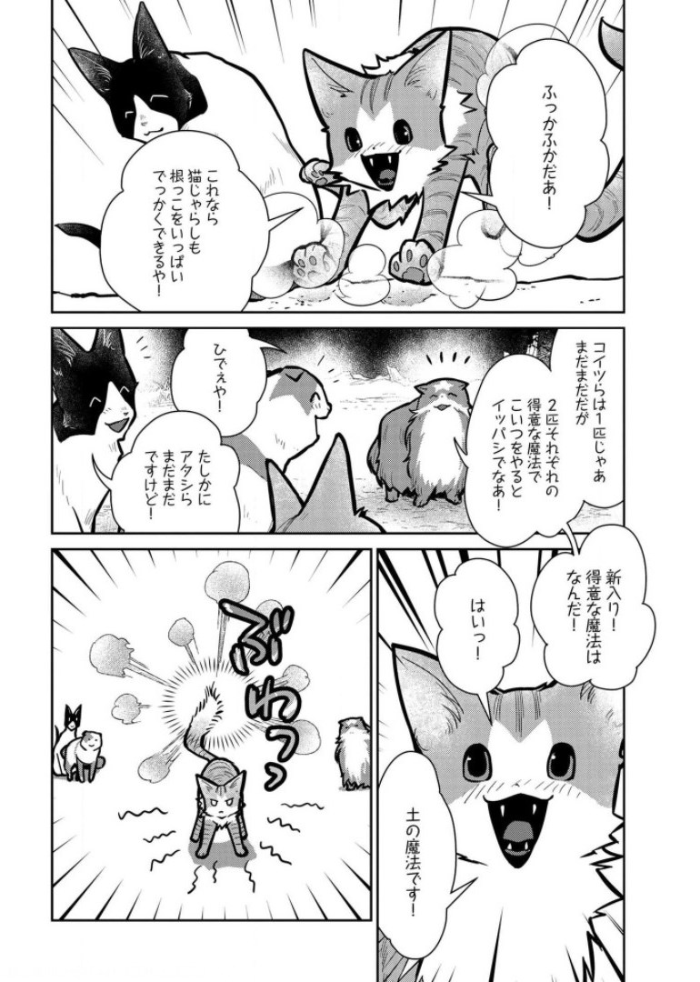 猫と竜 第9話 - Page 14