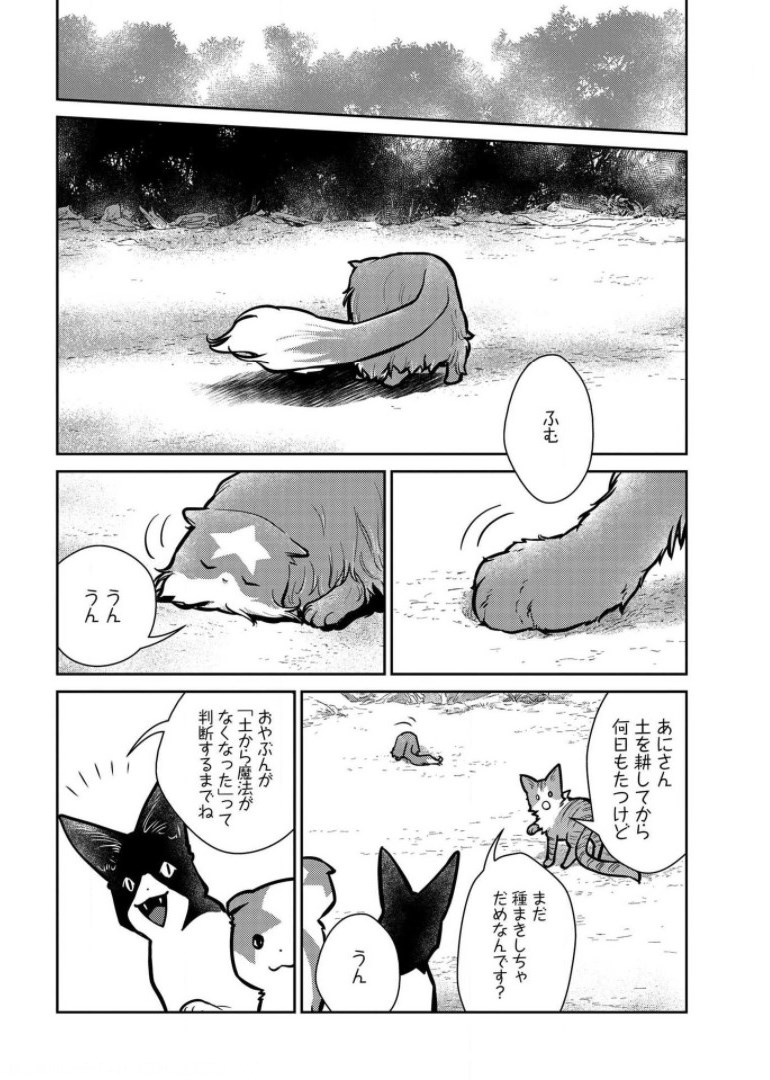 猫と竜 第9話 - Page 20