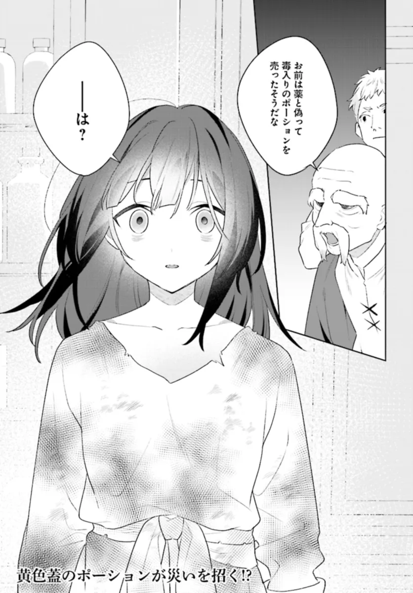 薬売りの聖女 ～冤罪で追放された薬師は、辺境の地で幸せを掴む～ 第1話 - Page 25