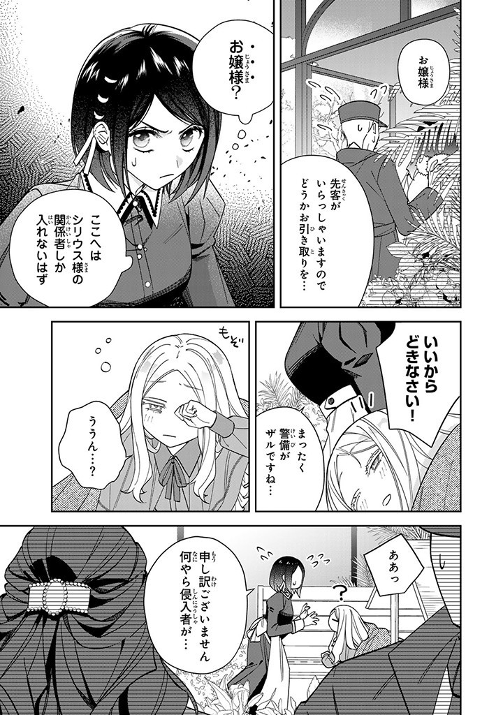 自由気ままな精霊姫 第11.3話 - Page 7
