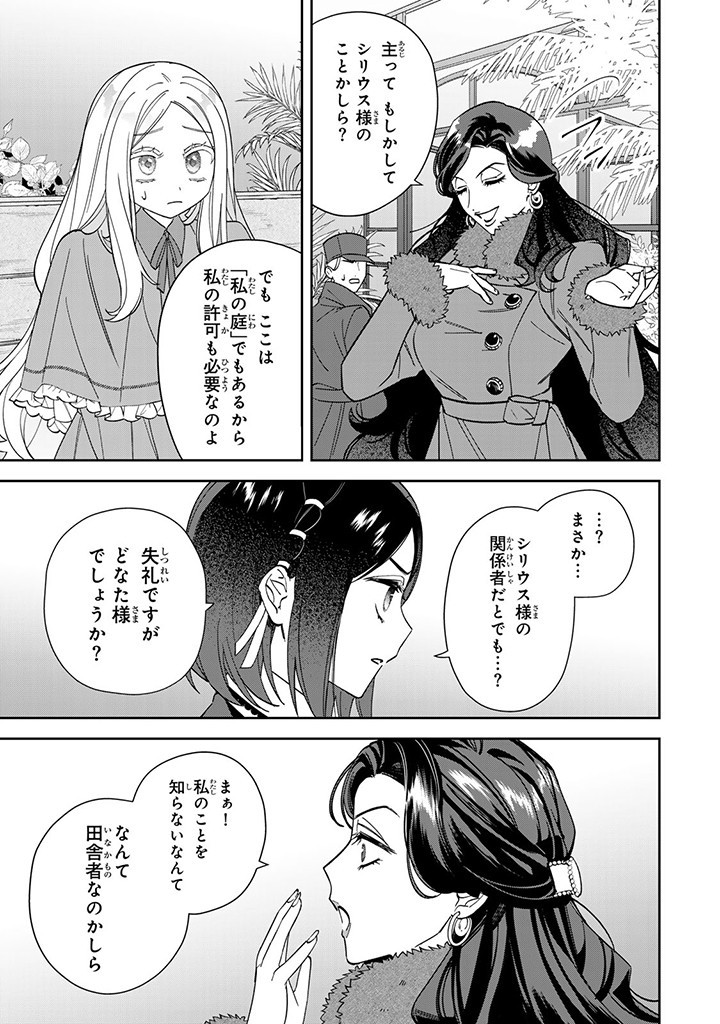自由気ままな精霊姫 第11.3話 - Page 9