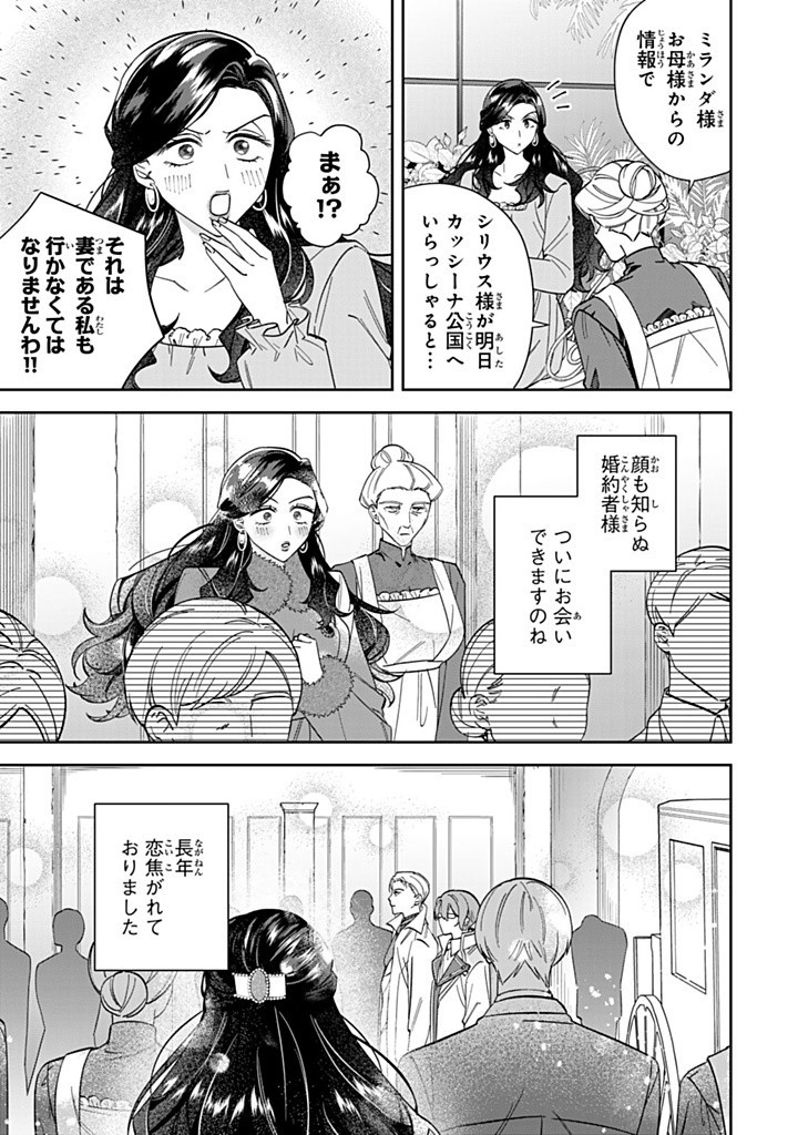 自由気ままな精霊姫 第14.1話 - Page 3