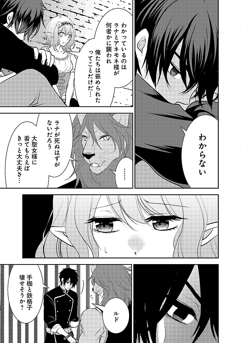 憧れの聖女になりましたが、全てを奪われたので復讐します。 第8話 - Page 11