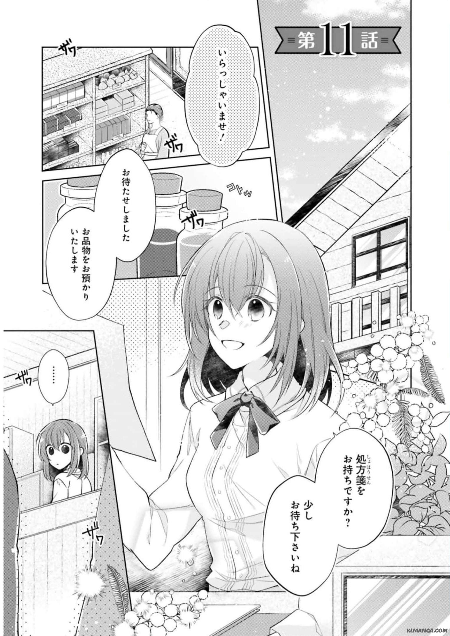 Fairy Pharmacy Youseijirushi no Kusuriya-san 妖精印の薬屋さん 第11話 - Page 1