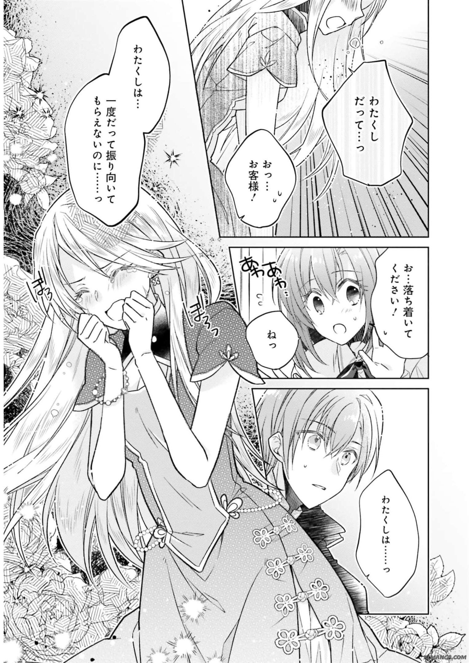 Fairy Pharmacy Youseijirushi no Kusuriya-san 妖精印の薬屋さん 第17話 - Page 29