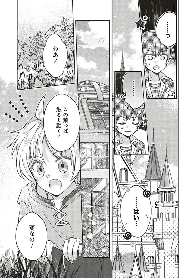Fairy Pharmacy Youseijirushi no Kusuriya-san 妖精印の薬屋さん 第29.1話 - Page 5