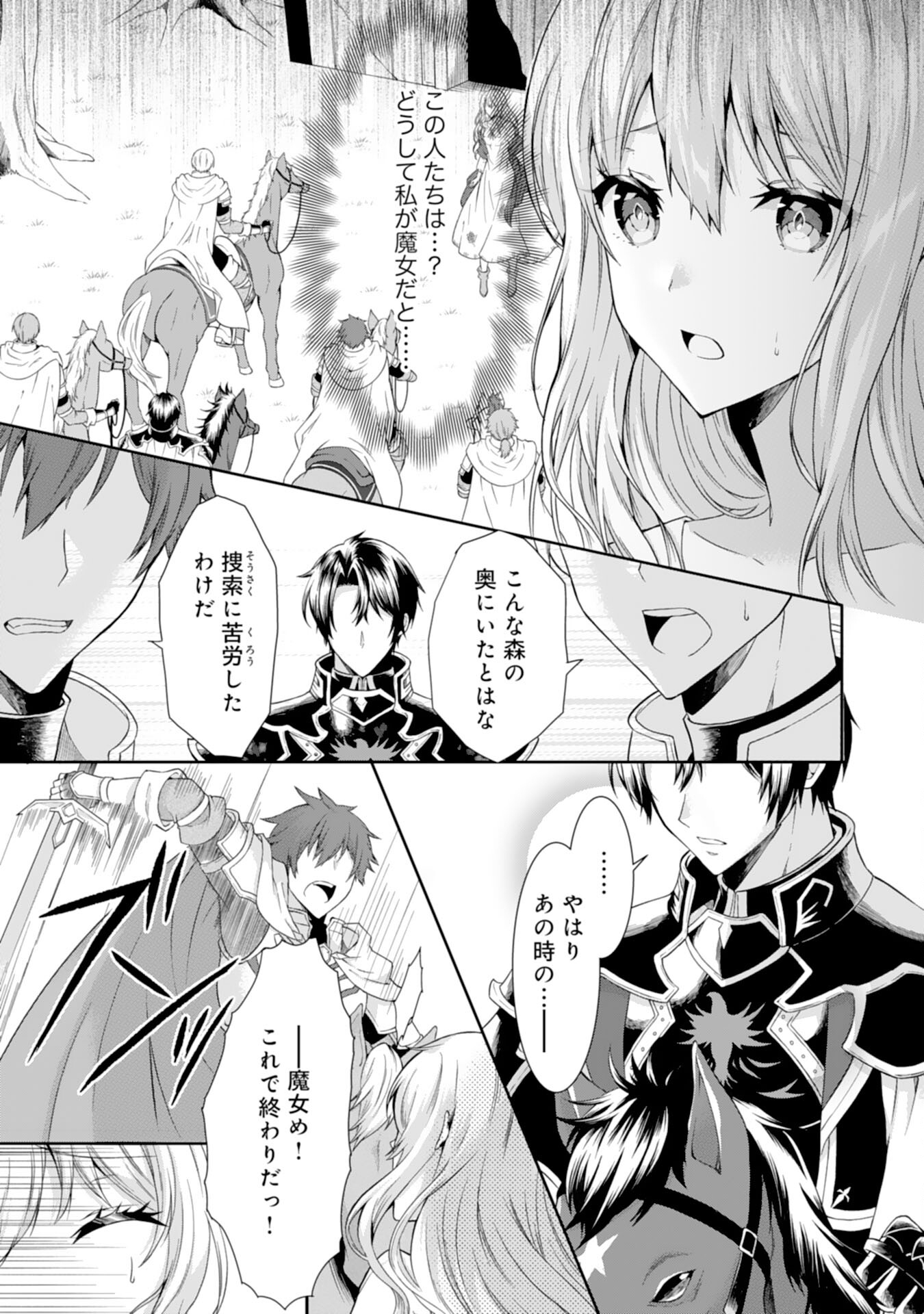 もふもふ魔獣と平穏に暮らしたいのでコワモテ公爵の求婚はお断りです 第1話 - Page 27