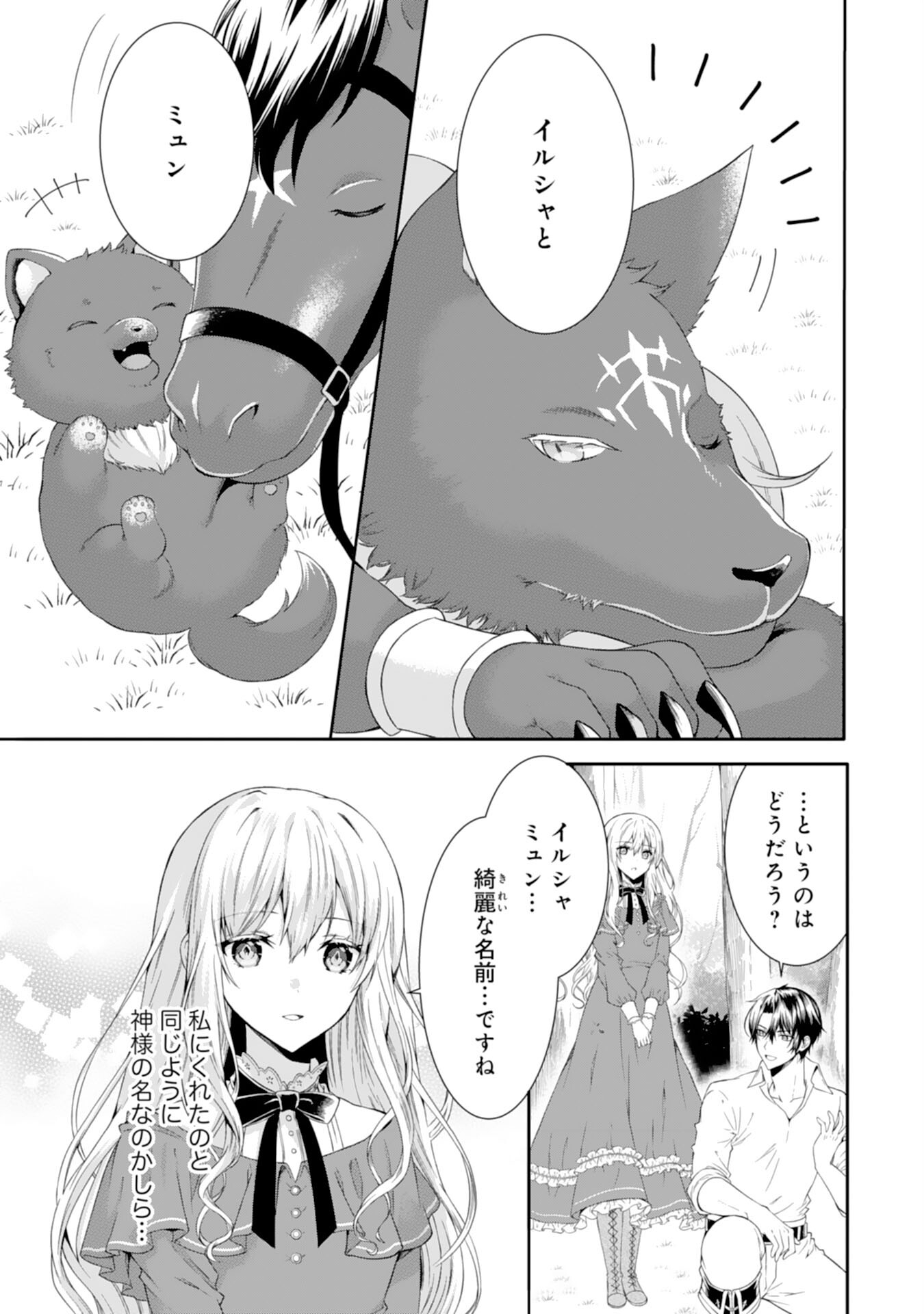 もふもふ魔獣と平穏に暮らしたいのでコワモテ公爵の求婚はお断りです 第2話 - Page 19