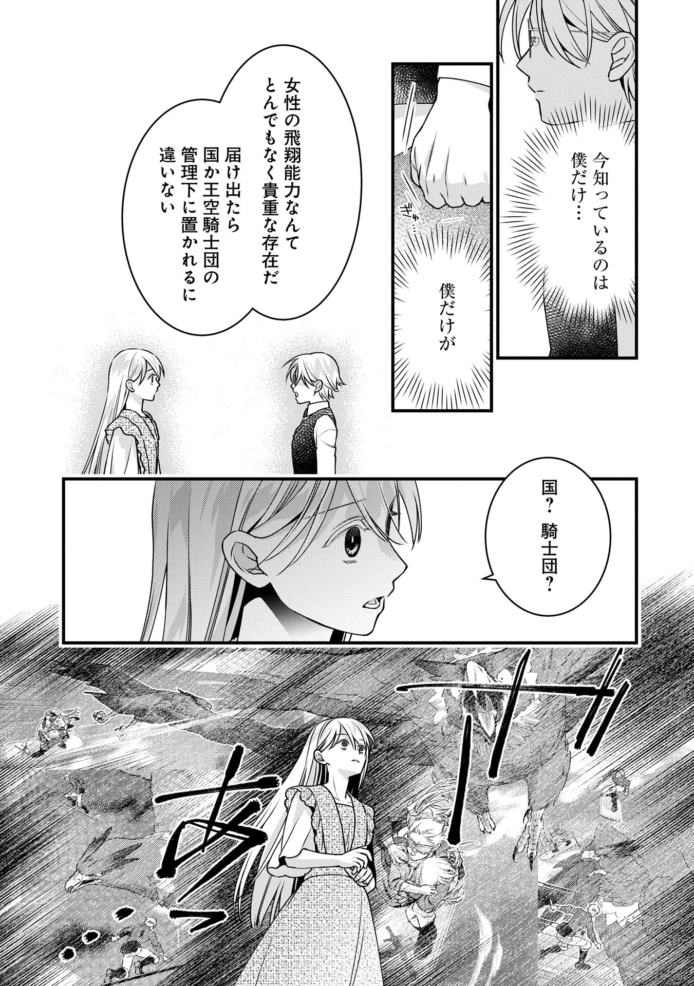 王空騎士団と救国の少女～空を飛ぶ少女アイリスの物語～ 第5話 - Page 7