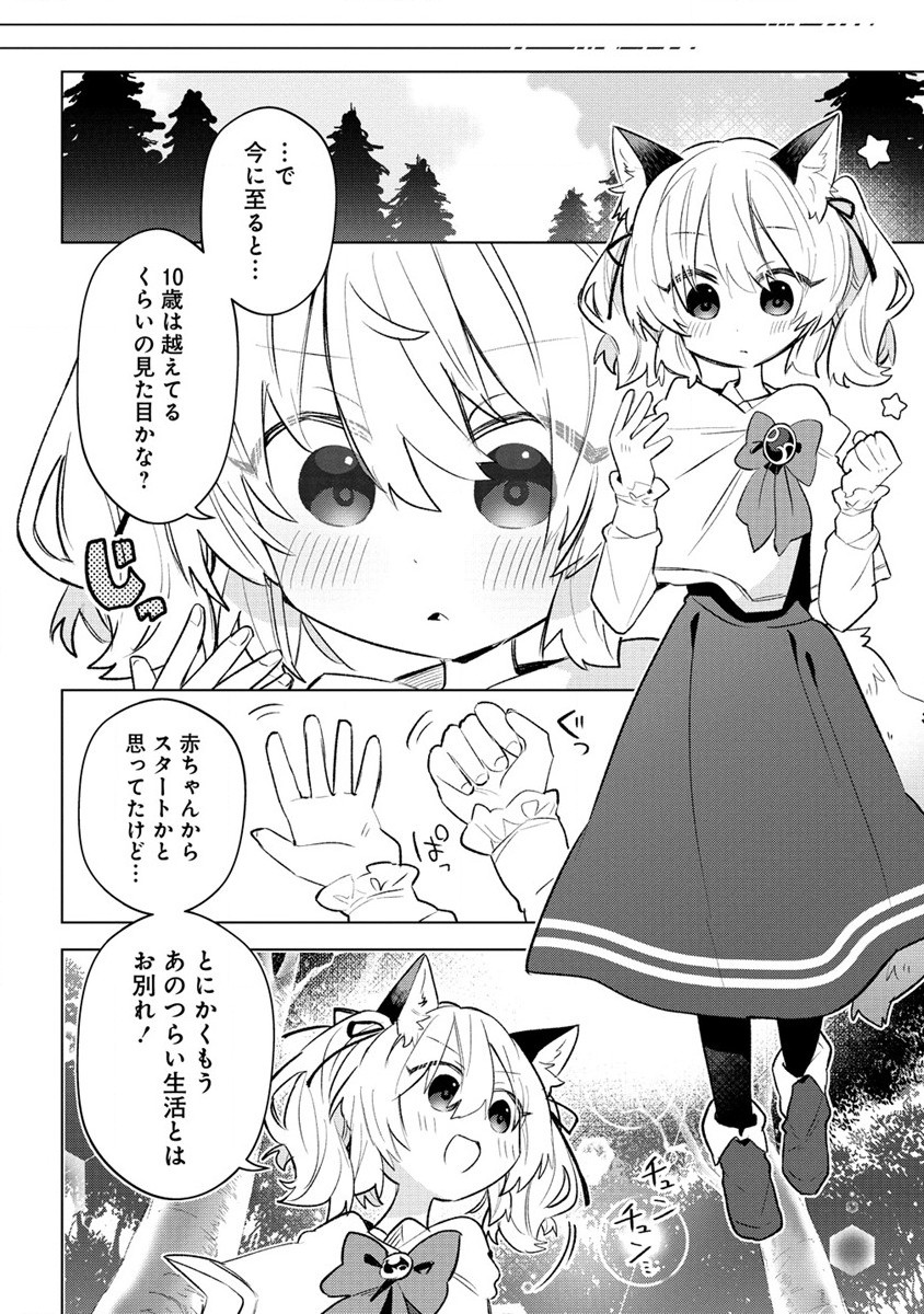 猫耳少女は森でスローライフを送りたい ～もふもふは所望しましたが、聖女とか王子様とかは注文外です～ 第1話 - Page 12