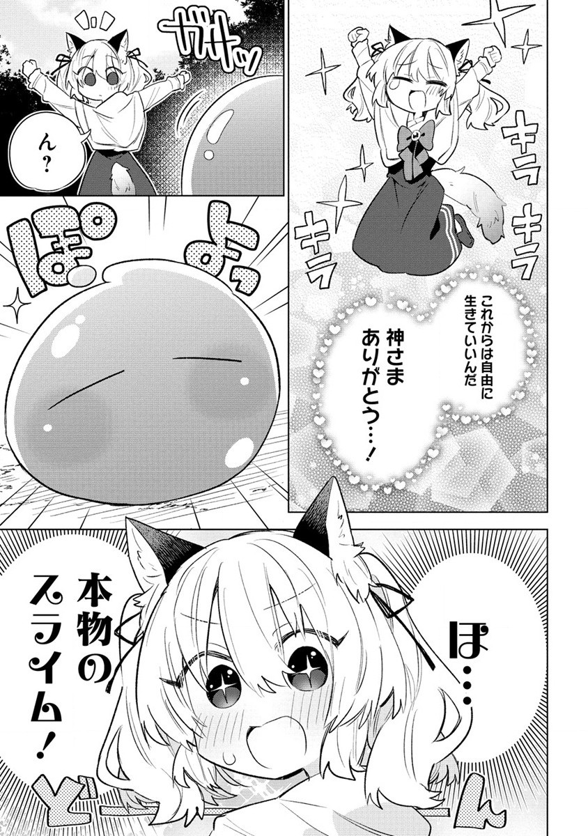 猫耳少女は森でスローライフを送りたい ～もふもふは所望しましたが、聖女とか王子様とかは注文外です～ 第1話 - Page 13