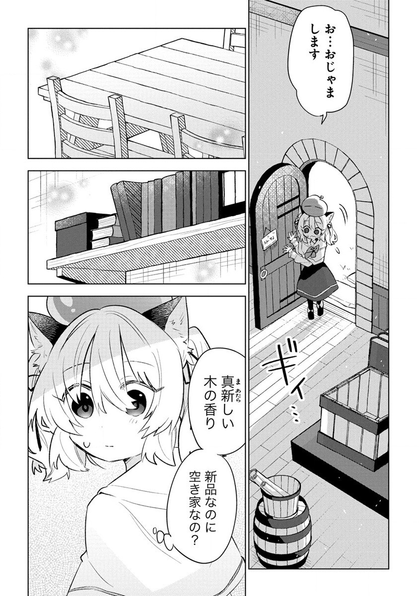 猫耳少女は森でスローライフを送りたい ～もふもふは所望しましたが、聖女とか王子様とかは注文外です～ 第1話 - Page 20