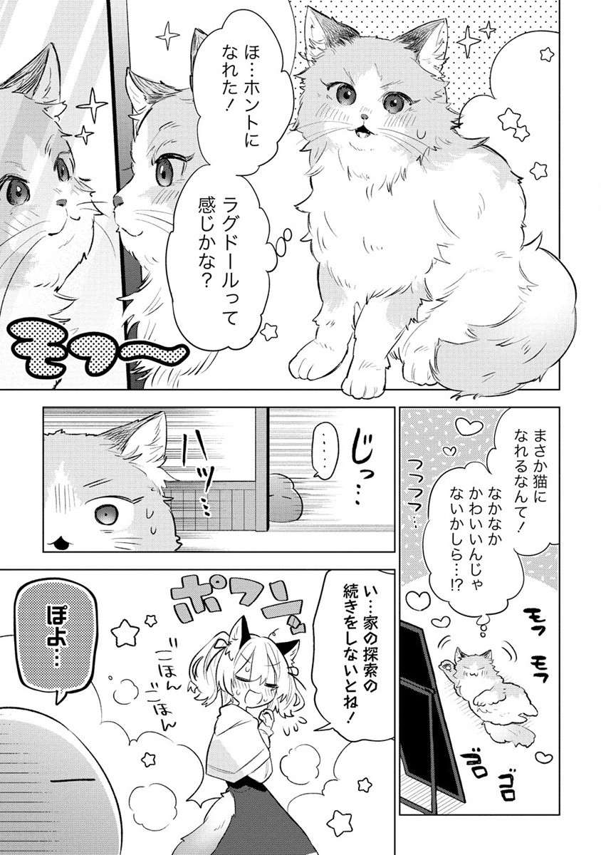 猫耳少女は森でスローライフを送りたい ～もふもふは所望しましたが、聖女とか王子様とかは注文外です～ 第1話 - Page 23