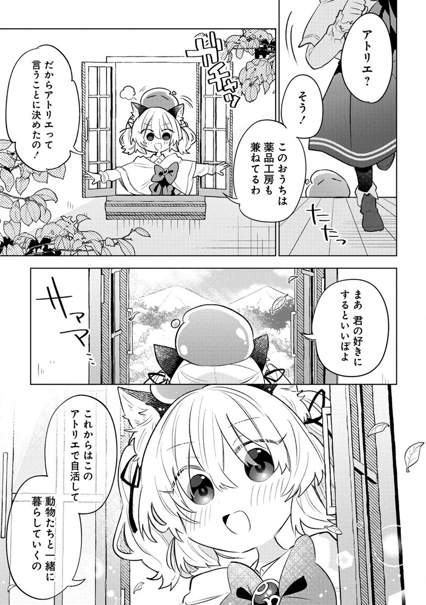 猫耳少女は森でスローライフを送りたい ～もふもふは所望しましたが、聖女とか王子様とかは注文外です～ 第1話 - Page 29