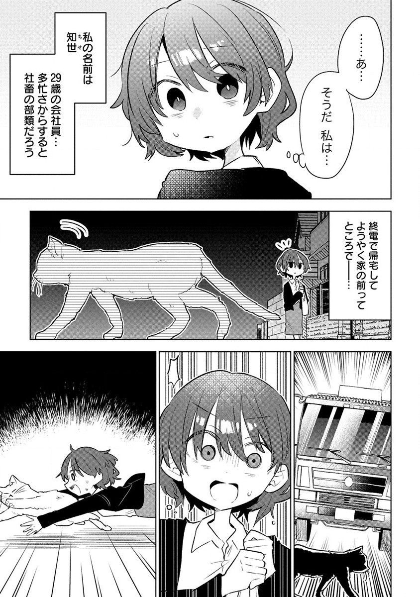 猫耳少女は森でスローライフを送りたい ～もふもふは所望しましたが、聖女とか王子様とかは注文外です～ 第1話 - Page 5