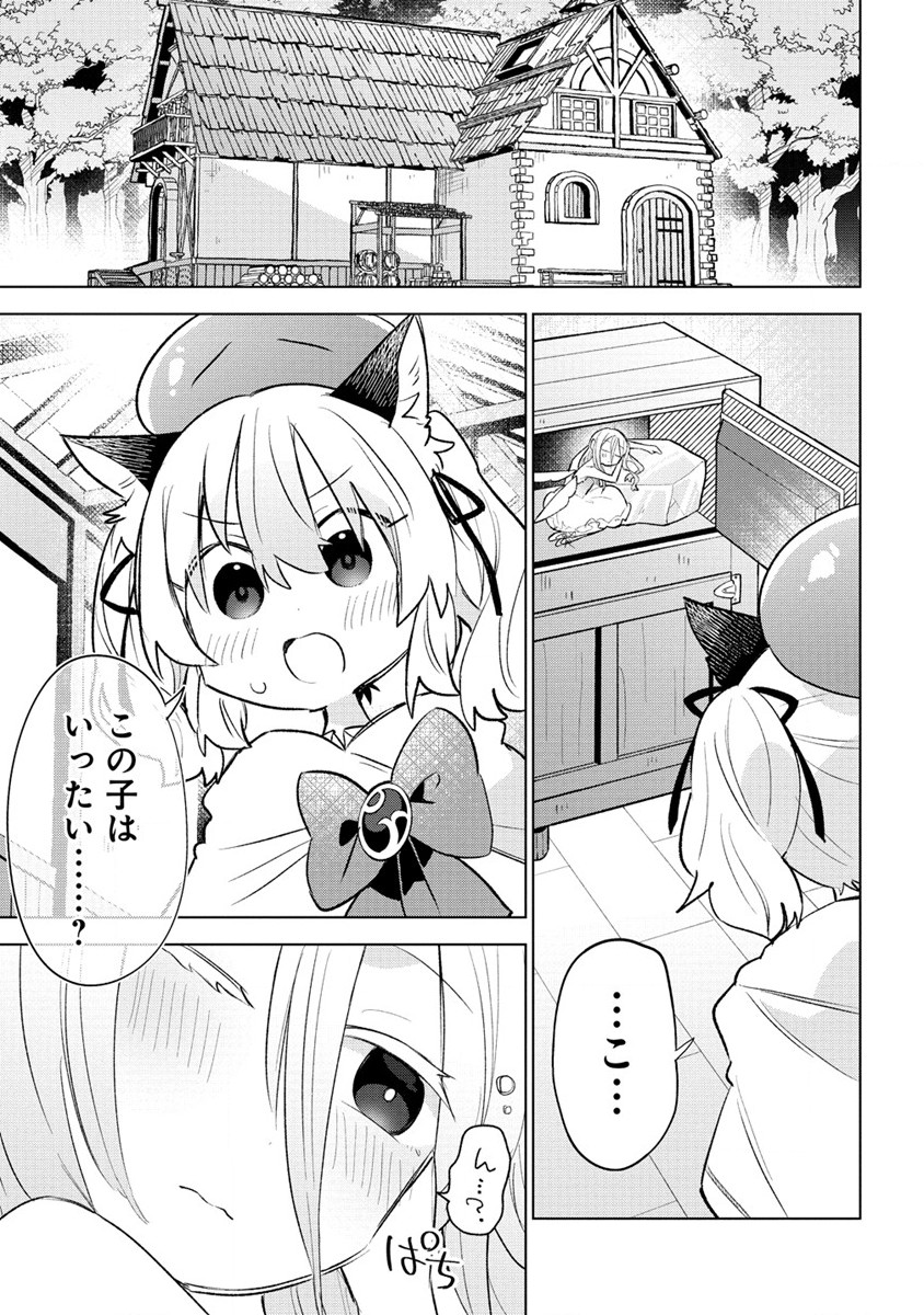 猫耳少女は森でスローライフを送りたい ～もふもふは所望しましたが、聖女とか王子様とかは注文外です～ 第2.1話 - Page 1