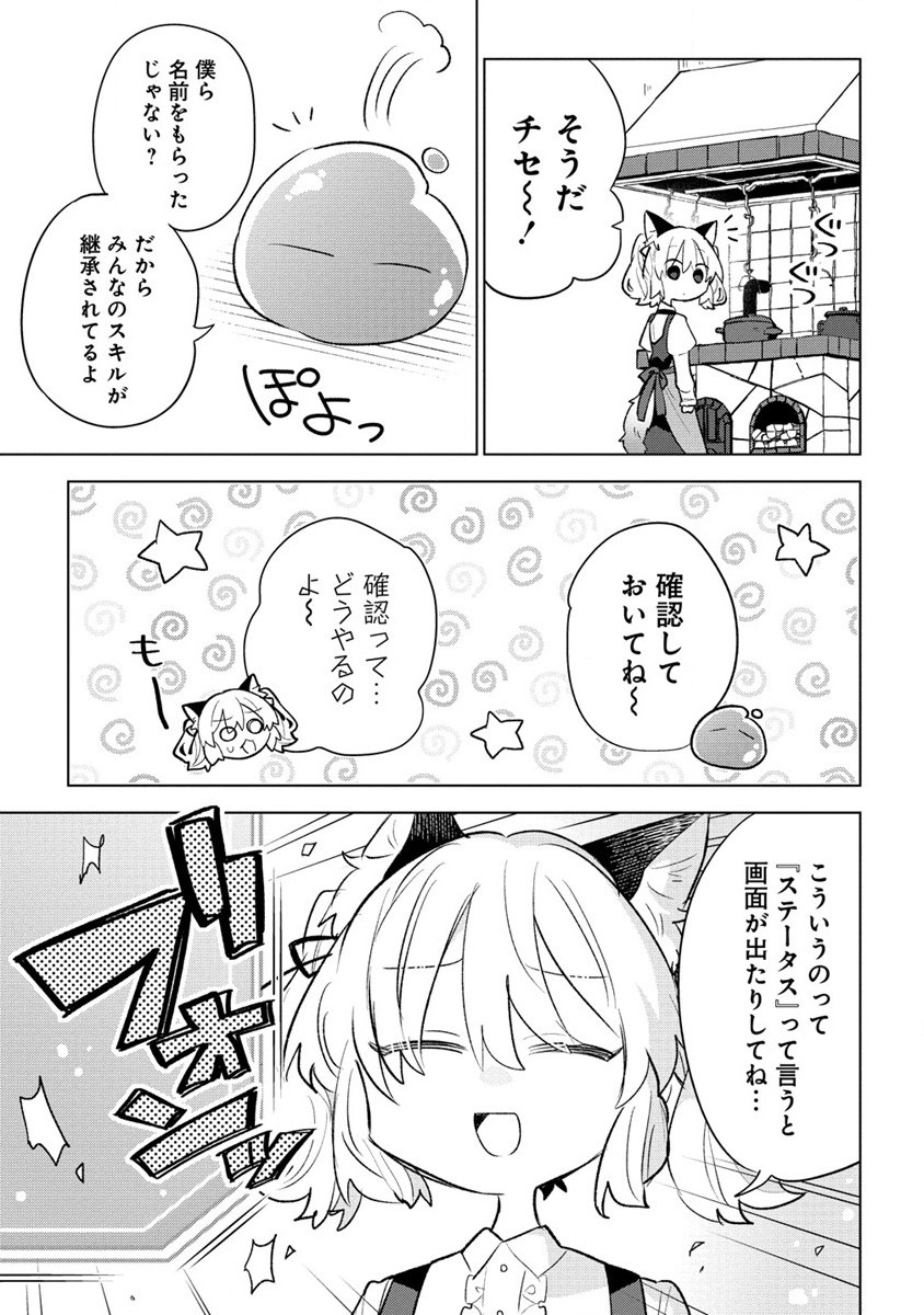 猫耳少女は森でスローライフを送りたい ～もふもふは所望しましたが、聖女とか王子様とかは注文外です～ 第2.1話 - Page 11