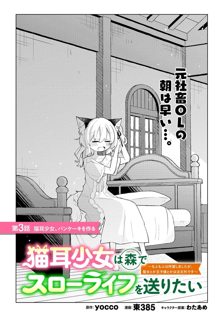 猫耳少女は森でスローライフを送りたい ～もふもふは所望しましたが、聖女とか王子様とかは注文外です～ 第3.1話 - Page 1