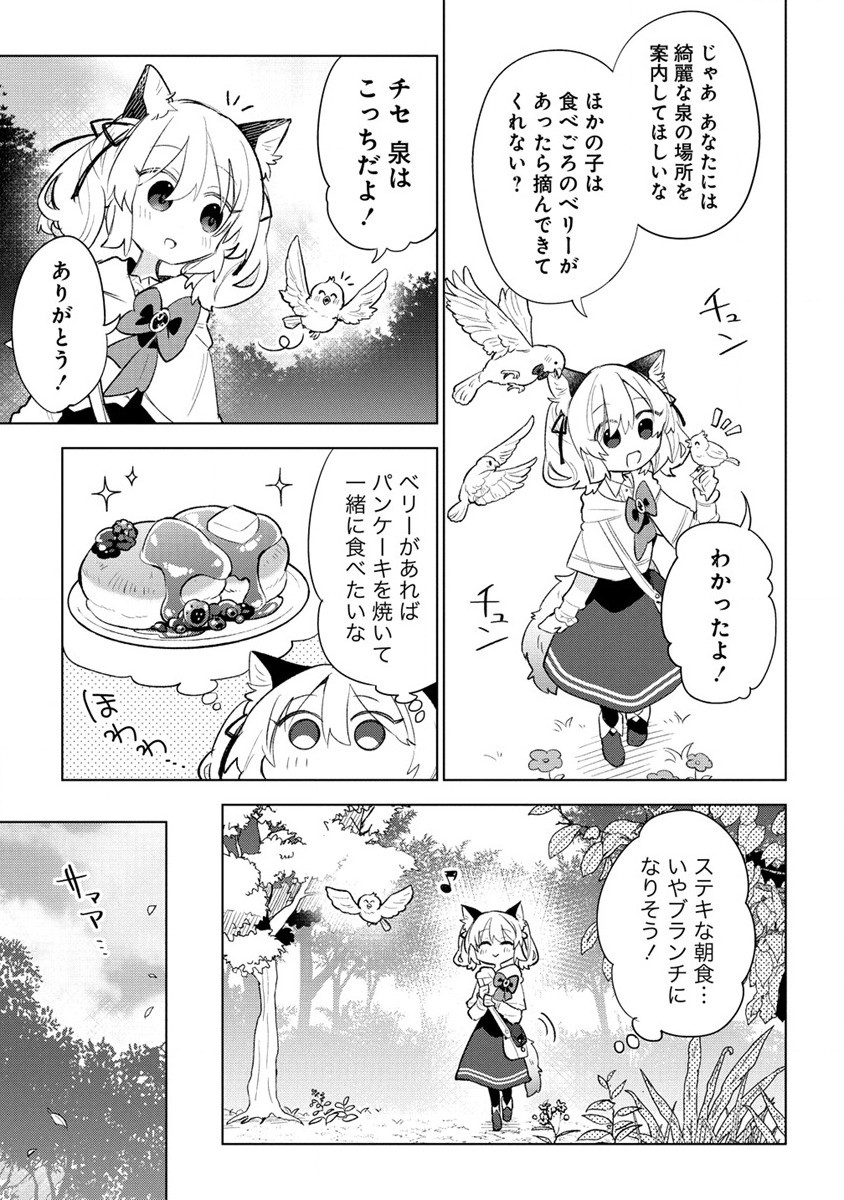 猫耳少女は森でスローライフを送りたい ～もふもふは所望しましたが、聖女とか王子様とかは注文外です～ 第3.1話 - Page 5