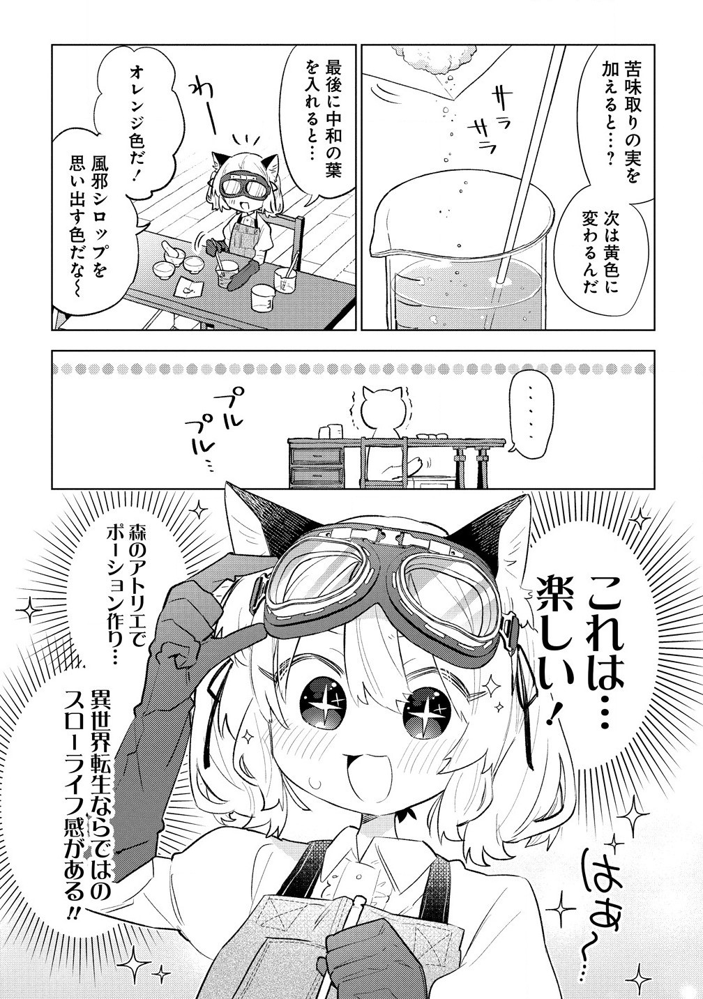 猫耳少女は森でスローライフを送りたい ～もふもふは所望しましたが、聖女とか王子様とかは注文外です～ 第4.1話 - Page 7