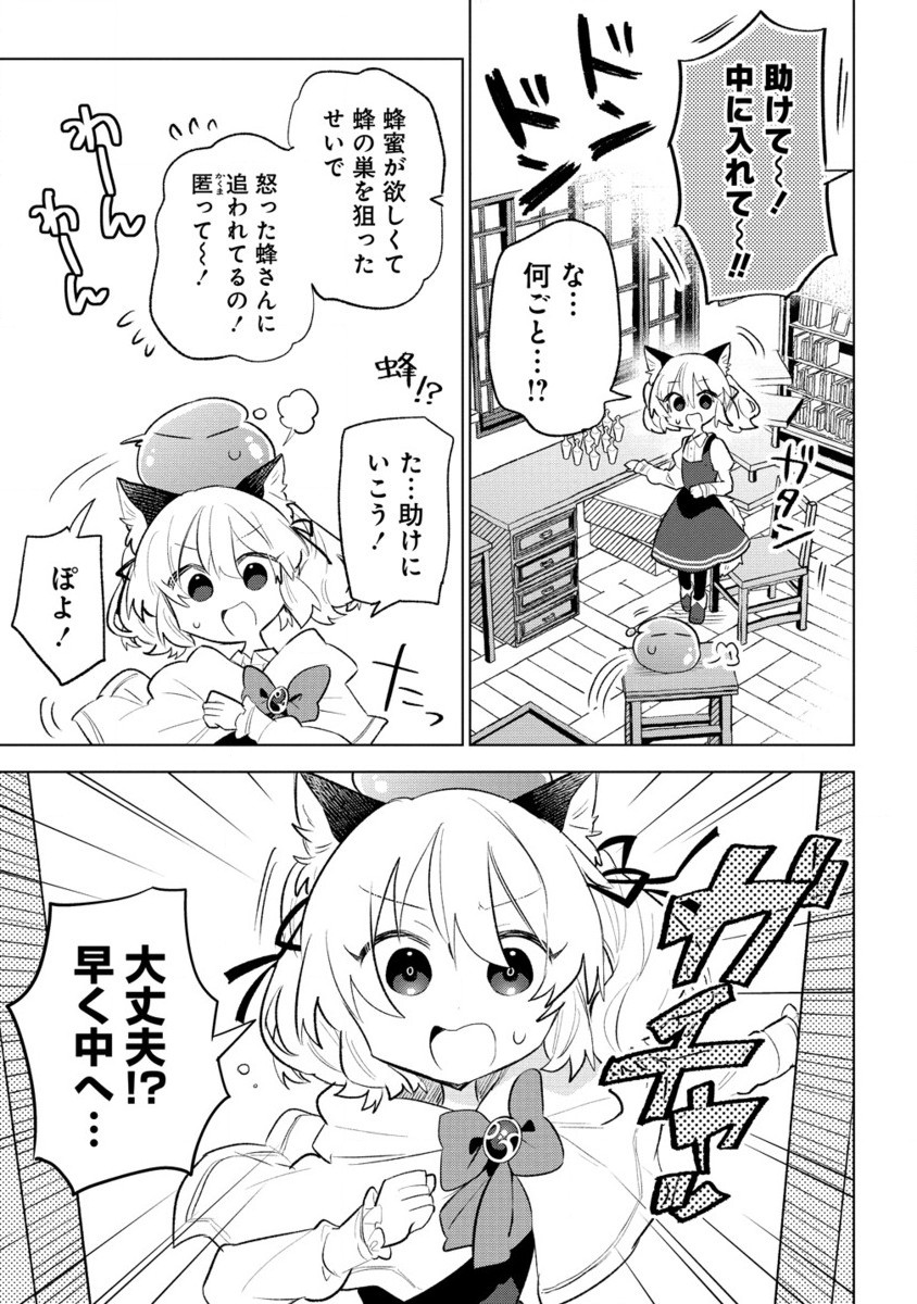 猫耳少女は森でスローライフを送りたい ～もふもふは所望しましたが、聖女とか王子様とかは注文外です～ 第4.2話 - Page 8