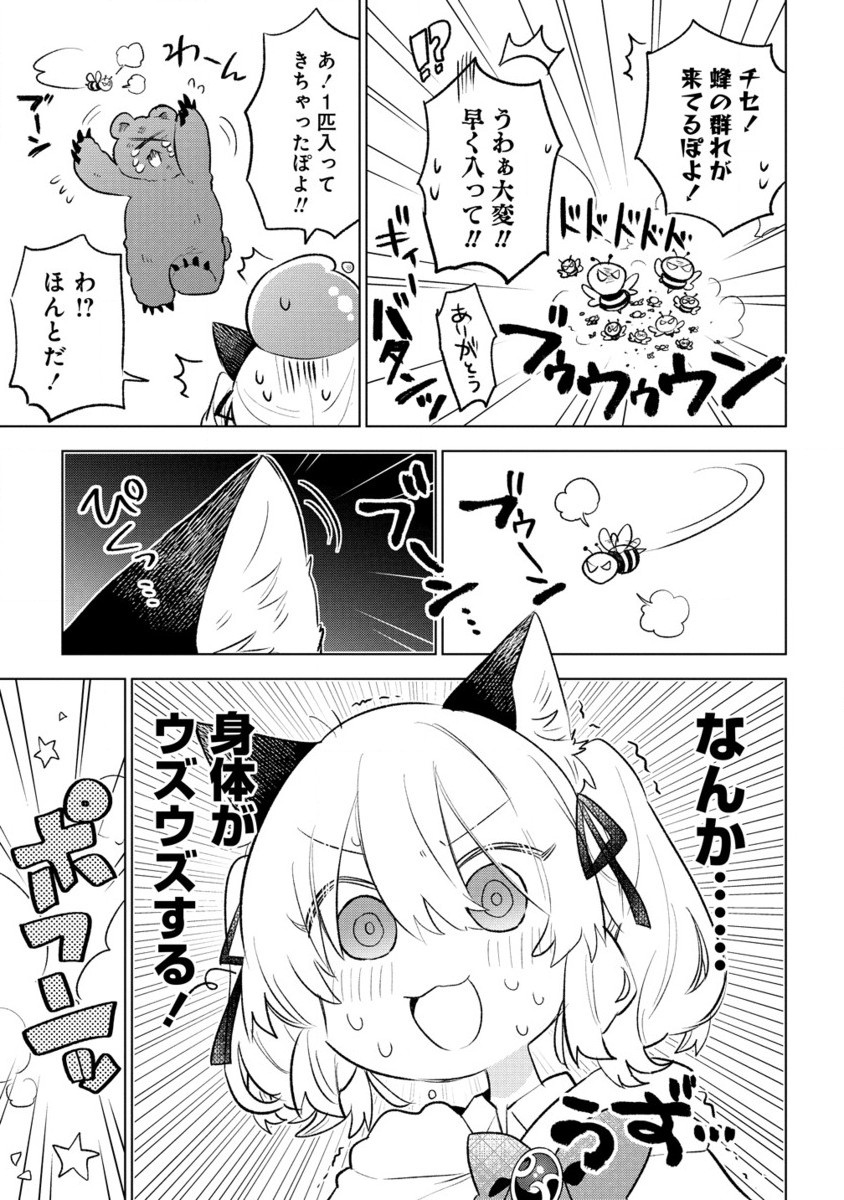 猫耳少女は森でスローライフを送りたい ～もふもふは所望しましたが、聖女とか王子様とかは注文外です～ 第4.2話 - Page 10