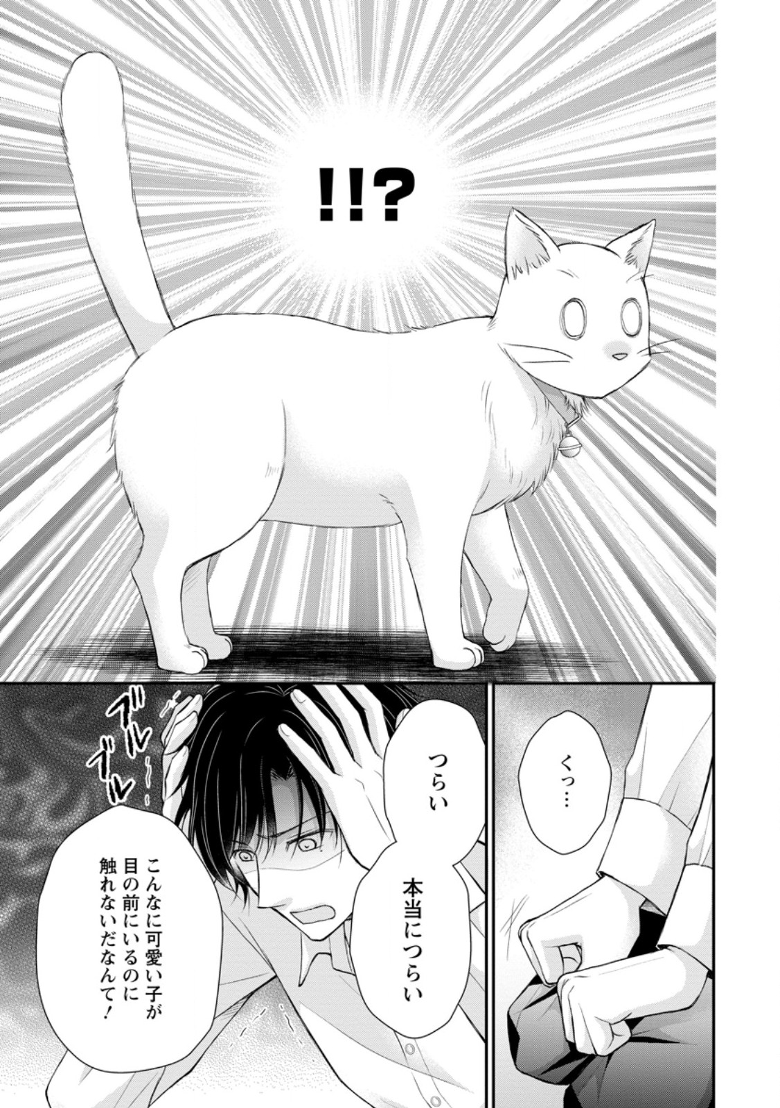 呪いで猫にされた悪女、王太子に拾われる。 第3.1話 - Page 7