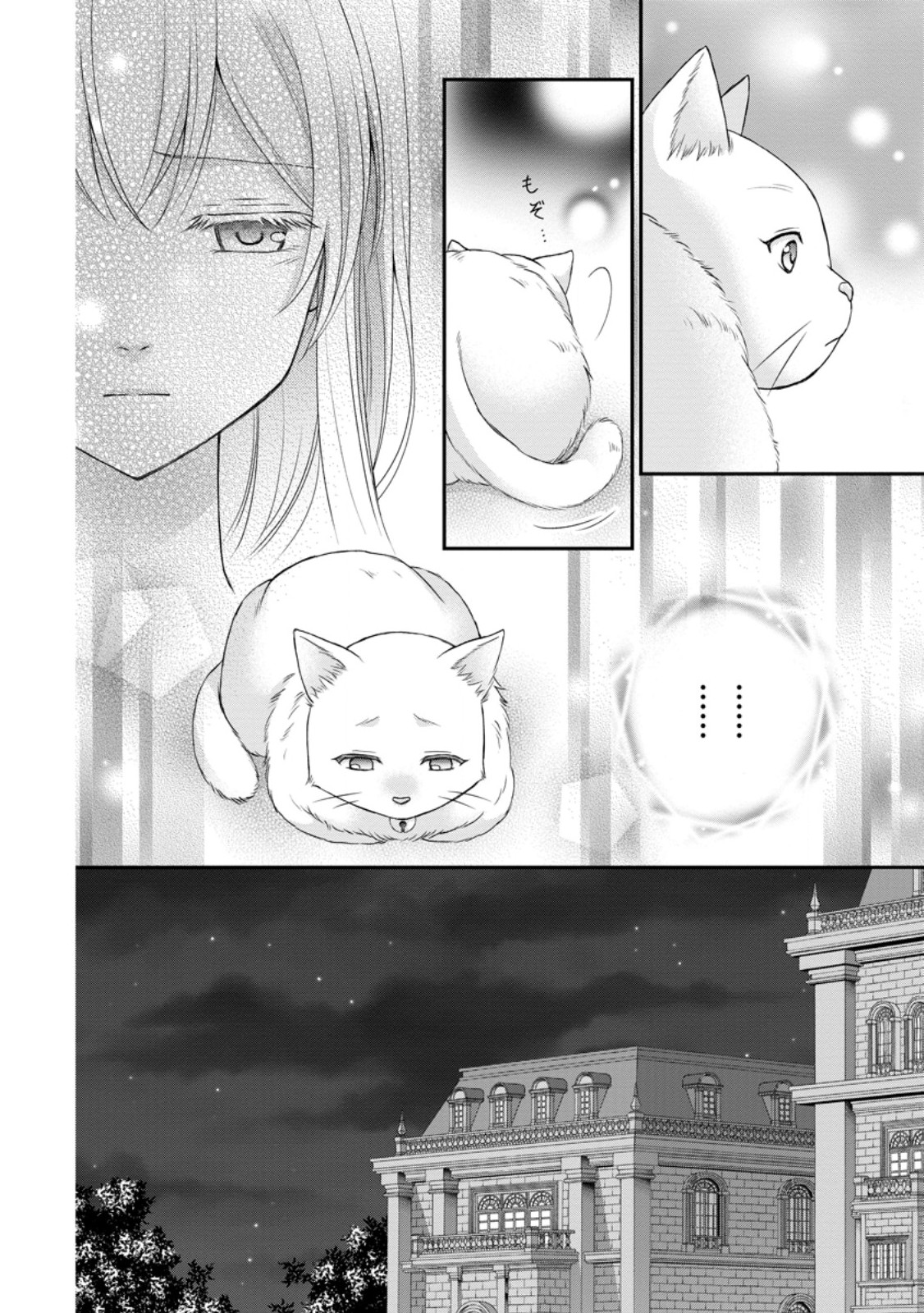 呪いで猫にされた悪女、王太子に拾われる。 第3.3話 - Page 9