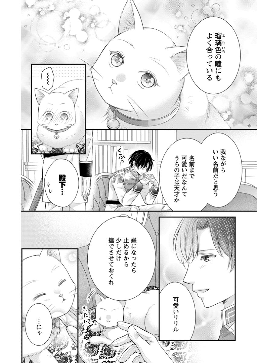 呪いで猫にされた悪女、王太子に拾われる。 第4.2話 - Page 6