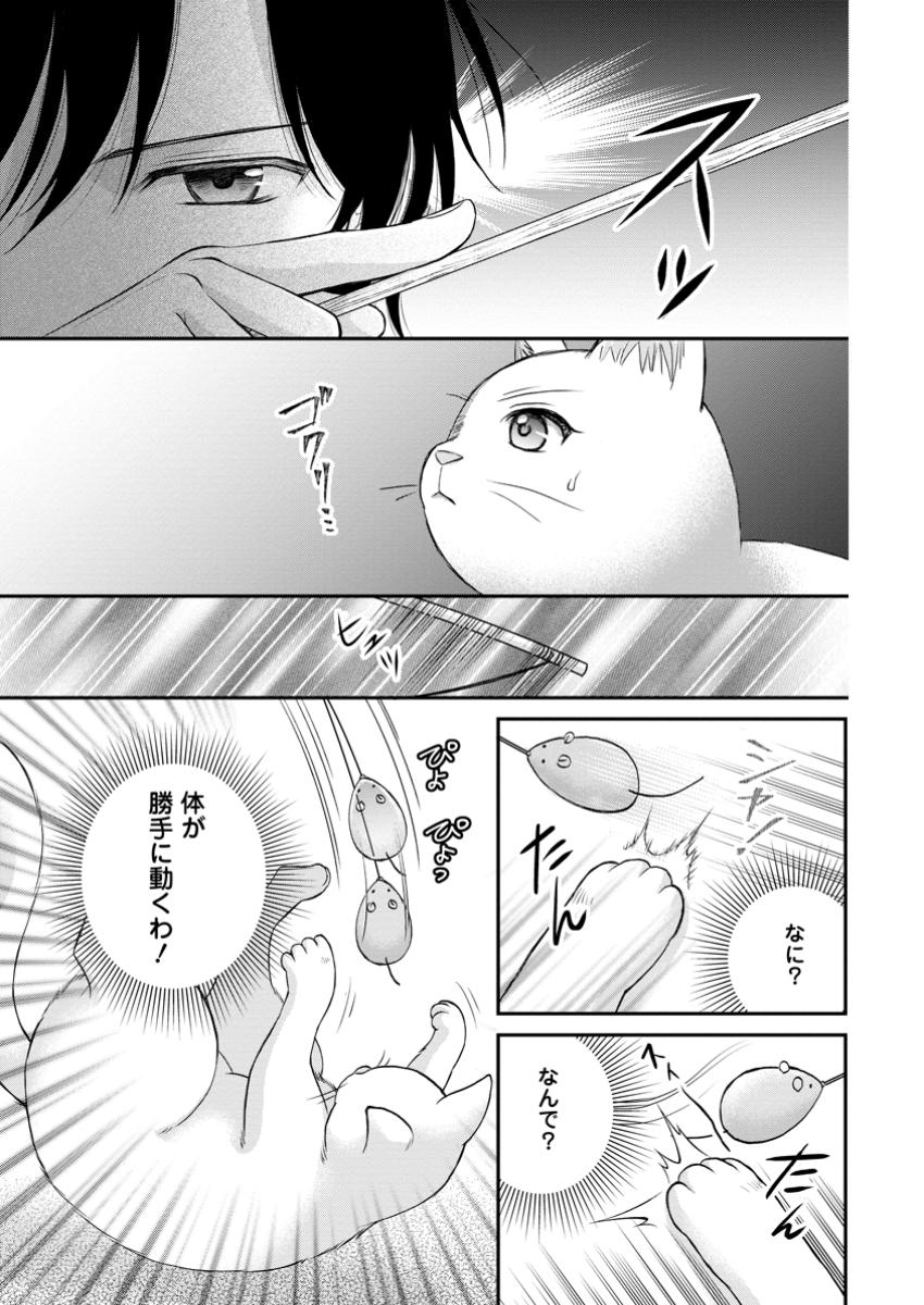 呪いで猫にされた悪女、王太子に拾われる。 第5.1話 - Page 1