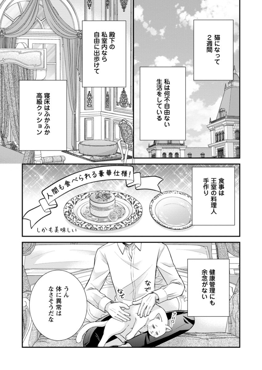 呪いで猫にされた悪女、王太子に拾われる。 第5.1話 - Page 3