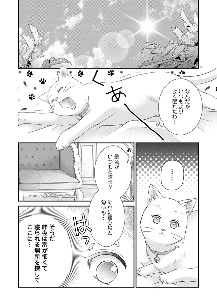 呪いで猫にされた悪女、王太子に拾われる。 第5.3話 - Page 5