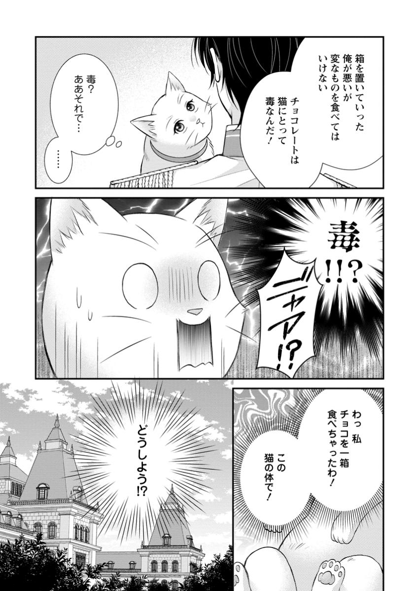 呪いで猫にされた悪女、王太子に拾われる。 第6.3話 - Page 1