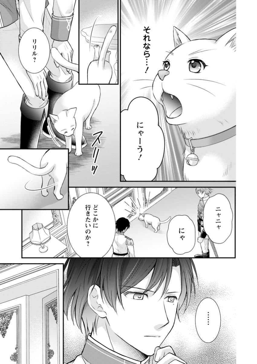 呪いで猫にされた悪女、王太子に拾われる。 第6.3話 - Page 9