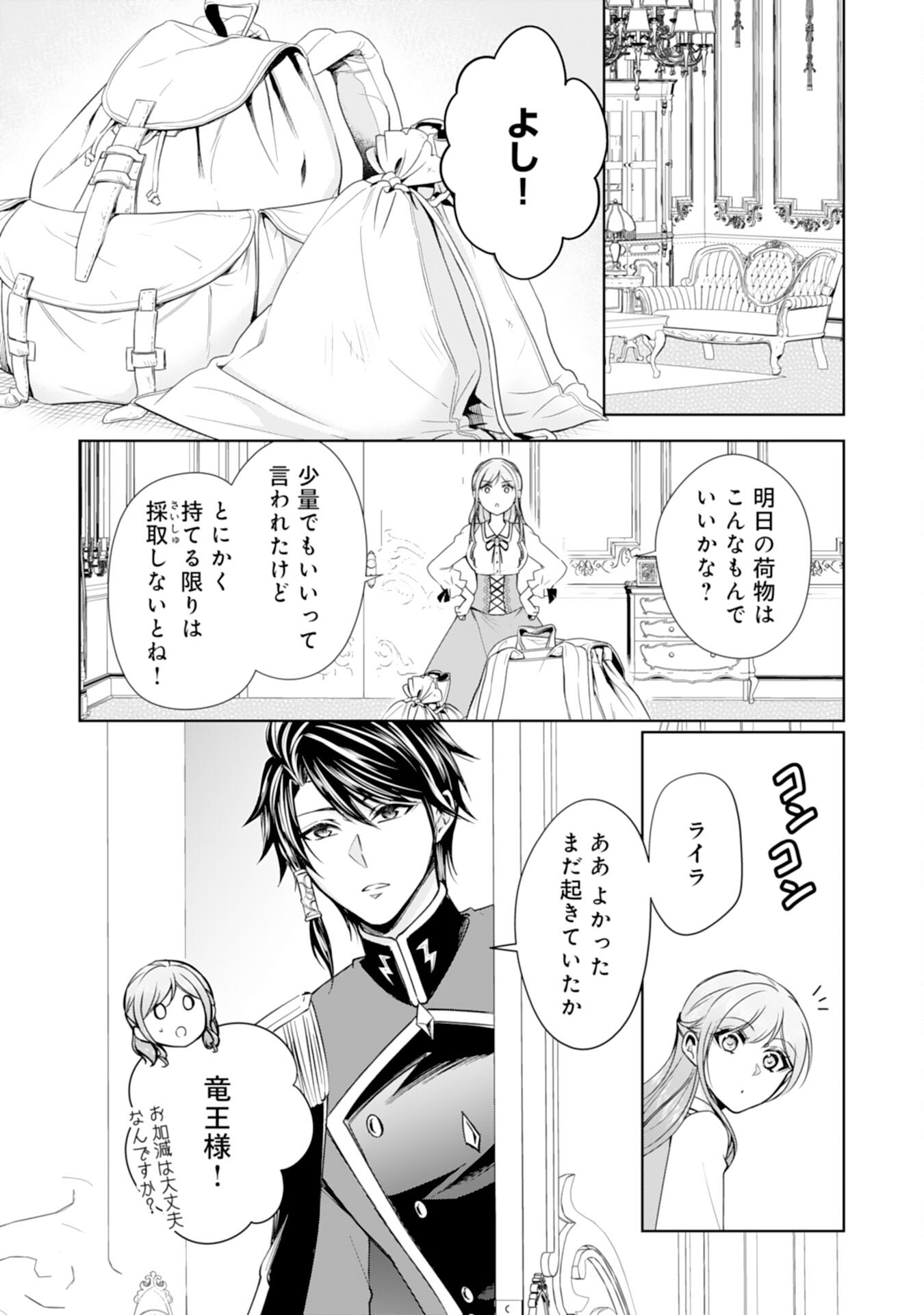 メイドに転生したら、うっかり竜王様の胃袋掴んじゃいました 第27話 - Page 10