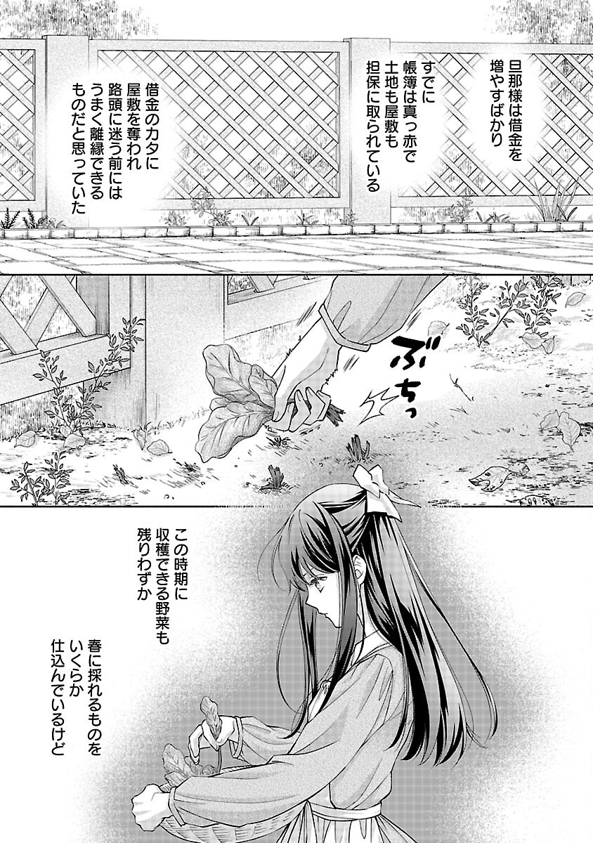 白い結婚から三年。旦那様、私と離縁してください 第6話 - Page 3