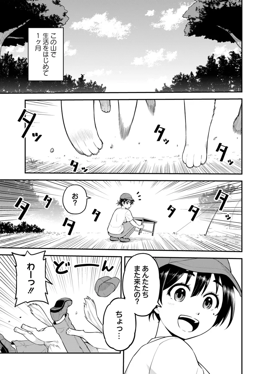 山、買いました 〜異世界暮らしも悪くない〜 第3.2話 - Page 16