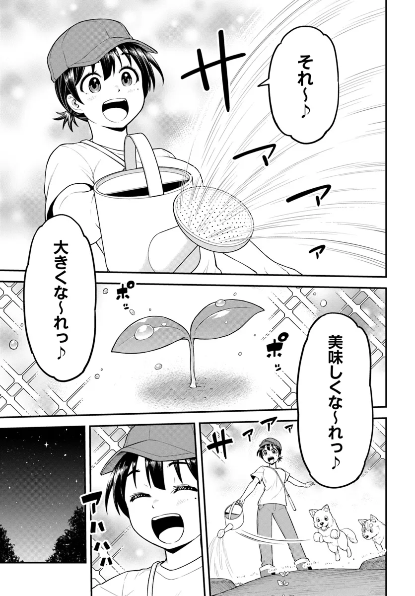 山、買いました 〜異世界暮らしも悪くない〜 第4.1話 - Page 11