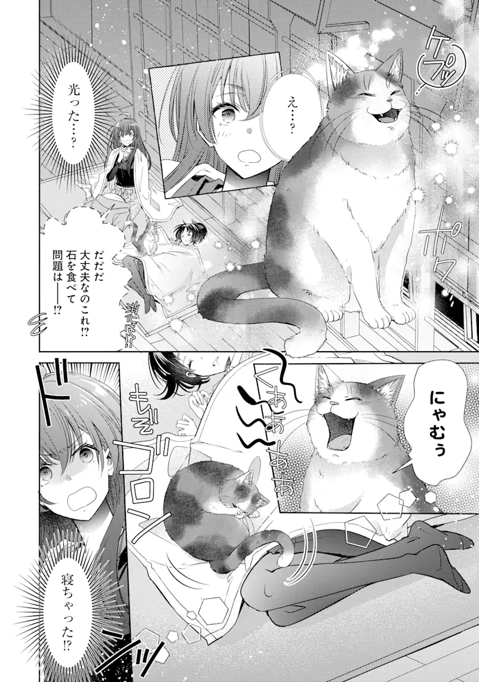 モンスターがあふれる世界になったけど、頼れる猫がいるから大丈夫です 第2.5話 - Page 6