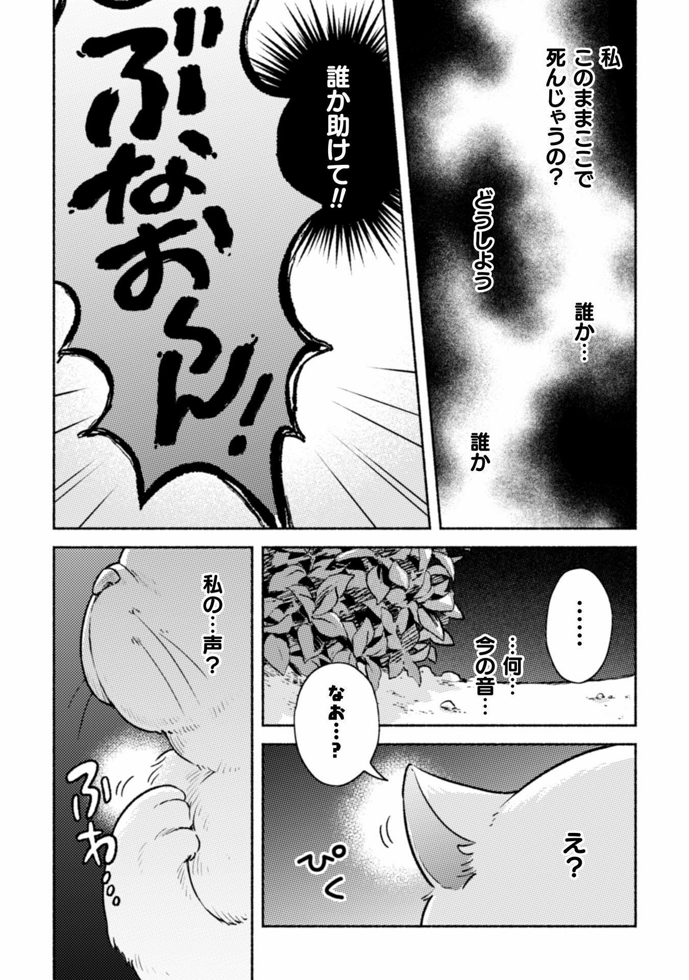 根暗騎士による溺愛満喫中のブサ猫、実は聖女です! 第1話 - Page 66