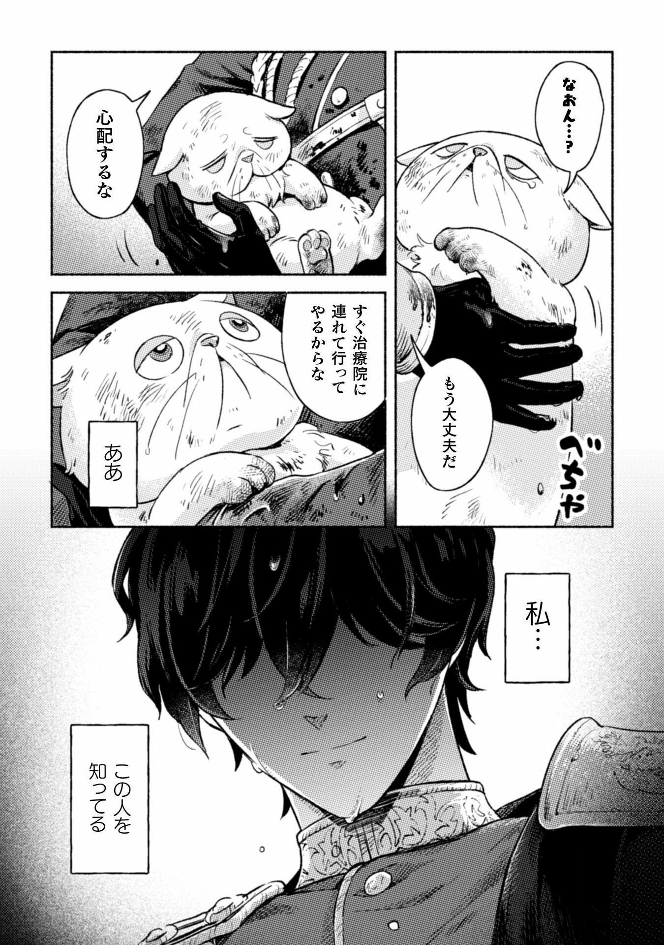 根暗騎士による溺愛満喫中のブサ猫、実は聖女です! 第1話 - Page 9