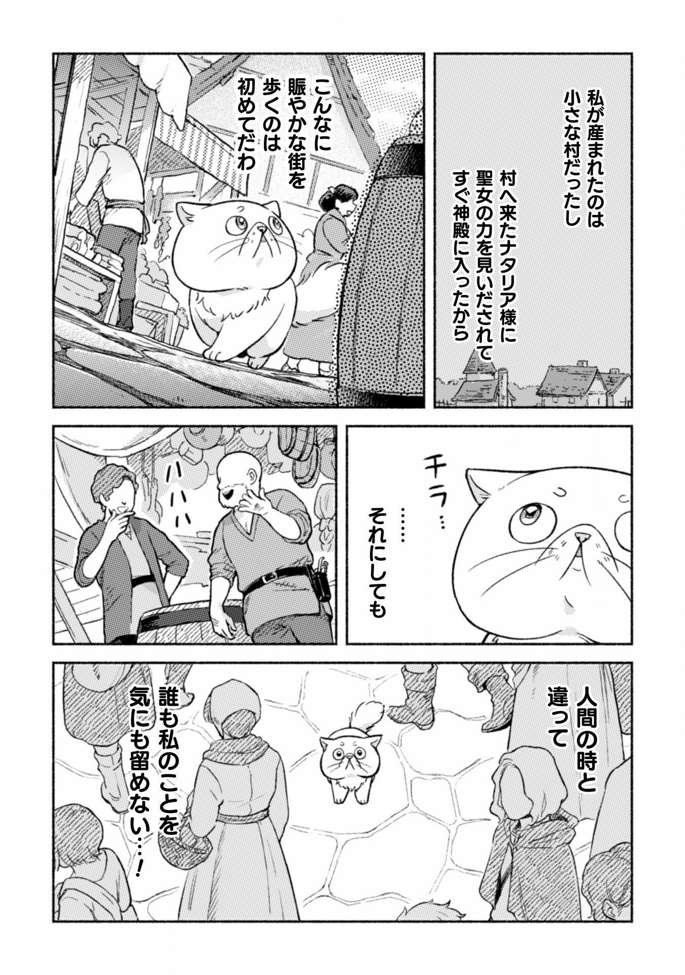 根暗騎士による溺愛満喫中のブサ猫、実は聖女です! 第2話 - Page 14