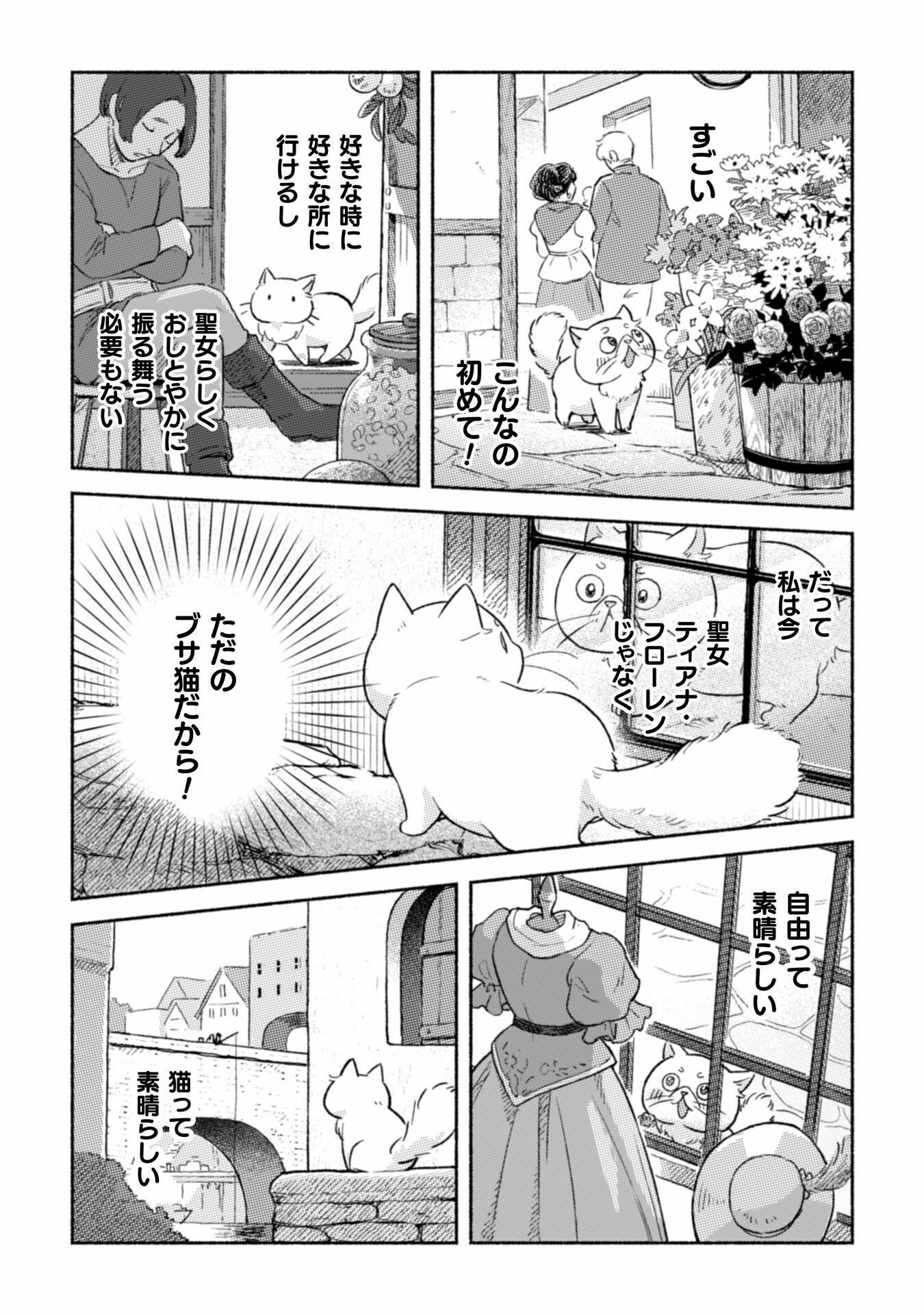 根暗騎士による溺愛満喫中のブサ猫、実は聖女です! 第2話 - Page 15