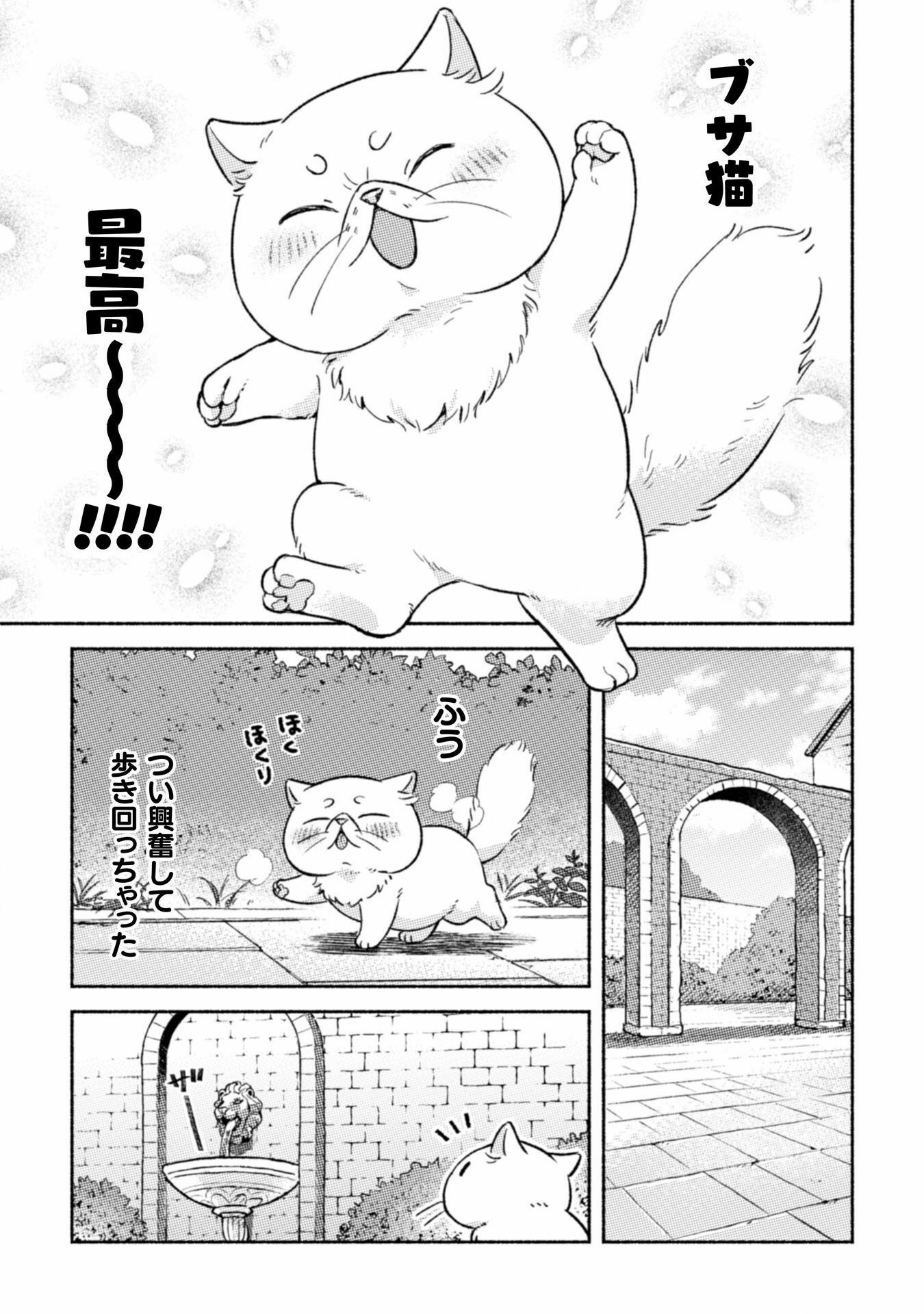 根暗騎士による溺愛満喫中のブサ猫、実は聖女です! 第2話 - Page 16