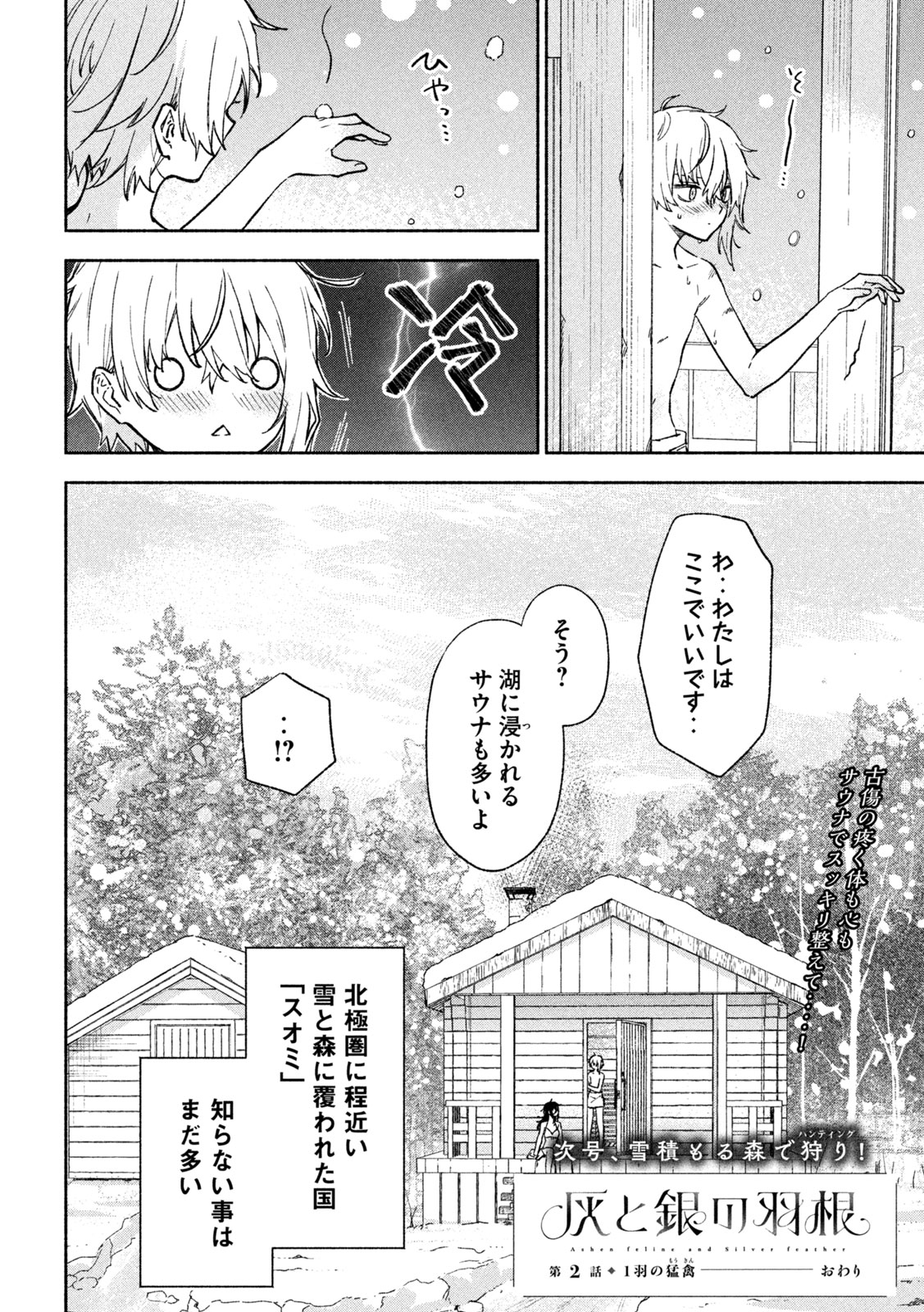 灰と銀の羽根 第3話 - Page 46